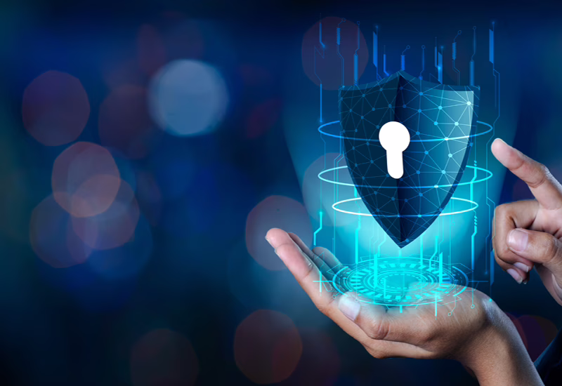 Monthly Website Maintenance & Security